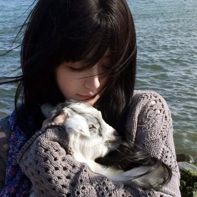 好莱坞，我爱你