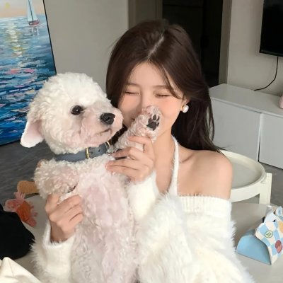 侠女十三妹