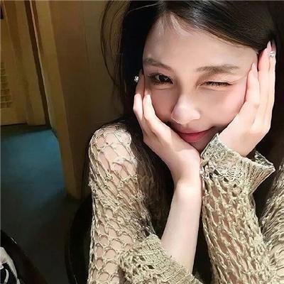 树袋熊
